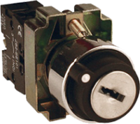 Переключатель BG53 2P с замком не возвратный NO EKF (акция)¶