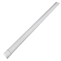 Светильник светодиодный LED Opal ДПО 54w 1200mm 6500К IP20 Sirius