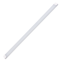 Светильник светодиодный LED Prizma ДПО 100w 1200mm Sirius