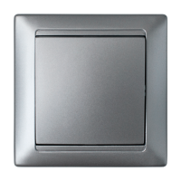 Выключатель С110-801 Серебро