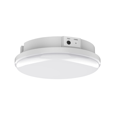 Светильник аварийного освещения 12W 3H 6500K 220-240V IP65 Sirius